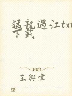 猛龙过江txt下载