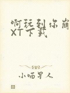 啊玩到你崩溃TXT下载