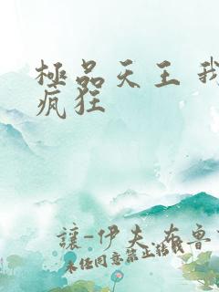 极品天王 我本疯狂