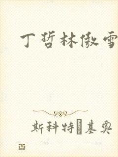 丁哲林傲雪小说
