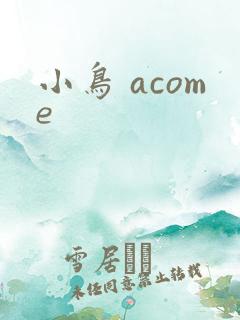 小鸟 acome