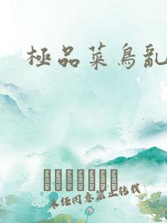 极品菜鸟乱江湖