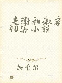 老卫和淑容1-40集小说