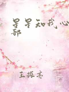 星星知我心第二部