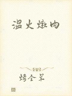 温火炖肉