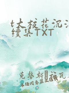 t大校花沉浮录续集TXT