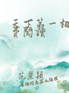 天下第一相书免费阅读