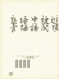 熟睡中被进了H青梅诱哄视频