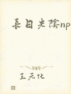 长日光阴np