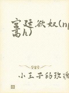 宫廷欲奴(np高h)
