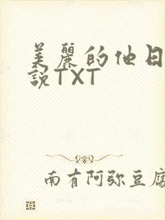 美丽的他日剧小说TXT