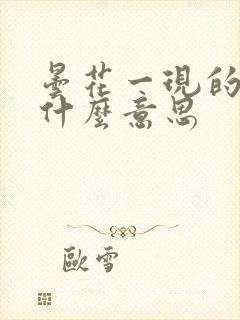 昙花一现的现是什么意思