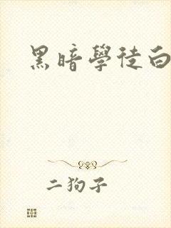 黑暗学徒白开水