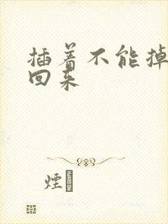 插着不能掉等我回来