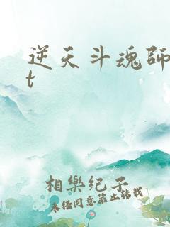 逆天斗魂师txt