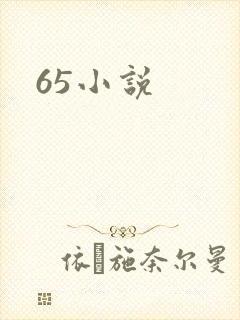 65小说