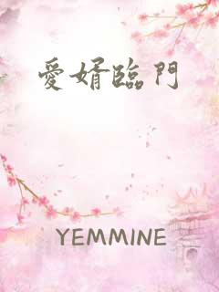 爱婿临门
