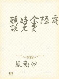 顾时念陆霆骁小说免费