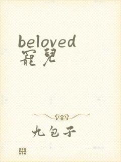 beloved宠儿