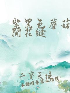 紫黑色蘑菇头顶开花缝