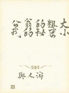 公翁的粗大放进我的秘密小说