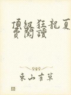 顶级狂龙夏天免费阅读