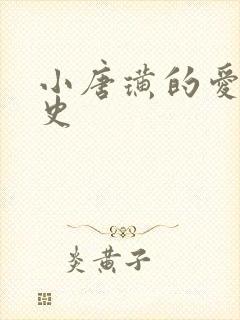 小唐璜的爱情历史