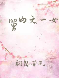 np肉文一女多男