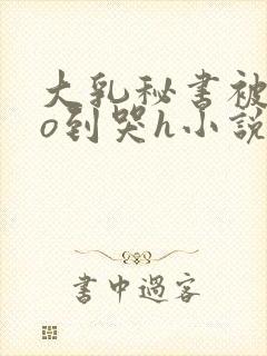 大乳秘书被cao到哭h小说