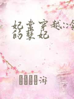 妃常穿越:冷王的孽妃