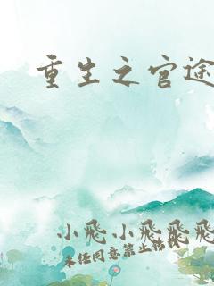 重生之官途辉煌