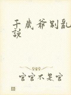 千岁爷别乱来小说