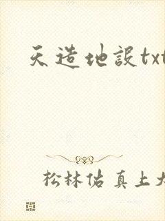 天造地设txt