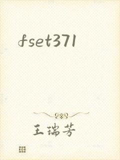 fset371