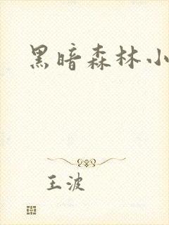 黑暗森林小说