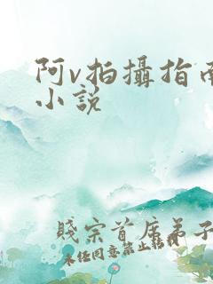 阿v拍摄指南说小说