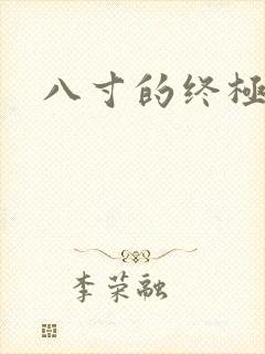 八寸的终极凶器