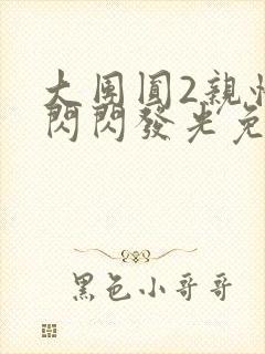 大团圆2亲情会闪闪发光免费