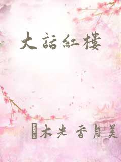 大话红楼