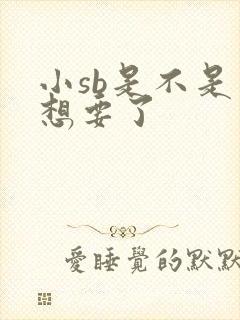 小sb是不是又想要了