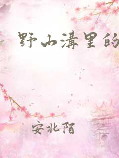 野山沟里的村庄