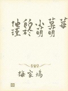 他的小草莓沈修瑾于萌萌