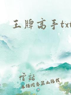 王牌高手txt
