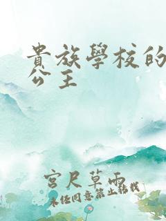 贵族学校的双面公主