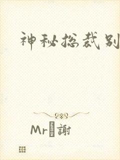 神秘总裁别玩我