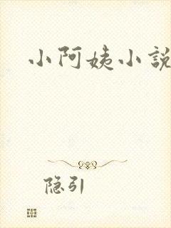 小阿姨小说