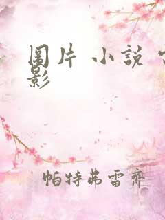 图片 小说 电影