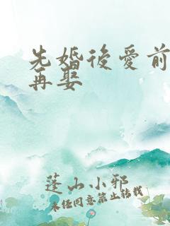 先婚后爱前妻难再娶