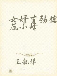 女婿有劲枪枪到底小峰