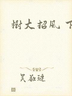 树大招风 下载